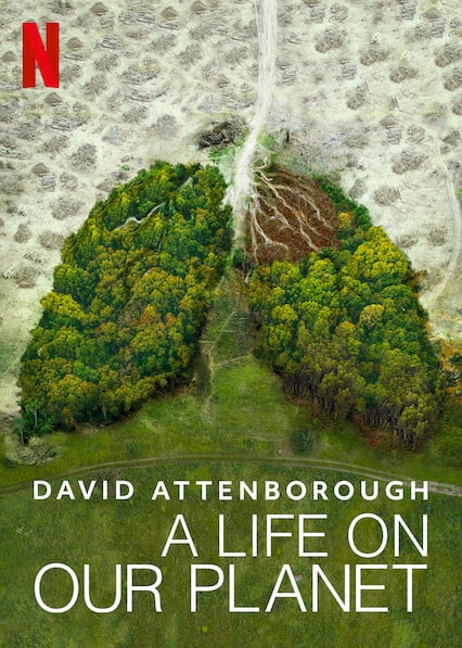 A Heart formed out of trees as the poster to the documentary David Attenborough: A Life on our Planet